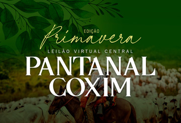 LEILÃO VIRTUAL CENTRAL PANTANAL COXIM - EDIÇÃO PRIMAVERA